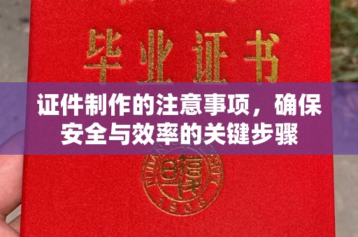 海宁证件制作的注意事项，确保安全与效率的关键步骤