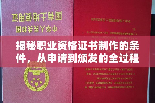海宁揭秘职业资格证书制作的条件，从申请到颁发的全过程