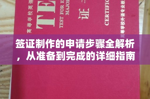 海宁签证制作的申请步骤全解析，从准备到完成的详细指南