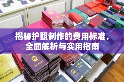 海宁揭秘护照制作的费用标准，全面解析与实用指南