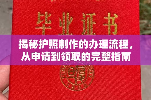 海宁揭秘护照制作的办理流程，从申请到领取的完整指南