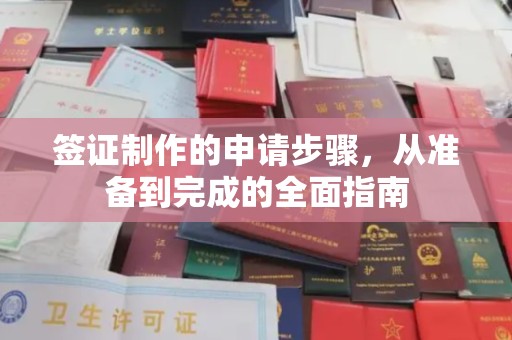 海宁签证制作的申请步骤，从准备到完成的全面指南