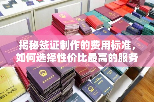 海宁揭秘签证制作的费用标准，如何选择性价比最高的服务？