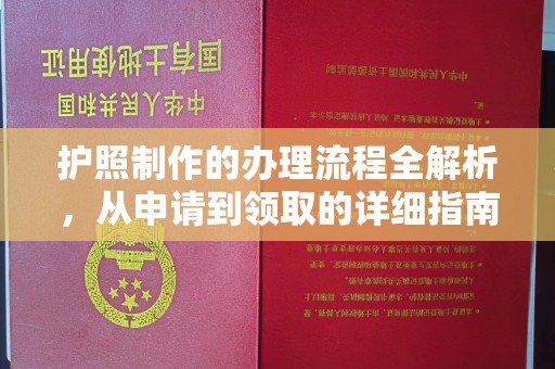 海宁护照制作的办理流程全解析，从申请到领取的详细指南