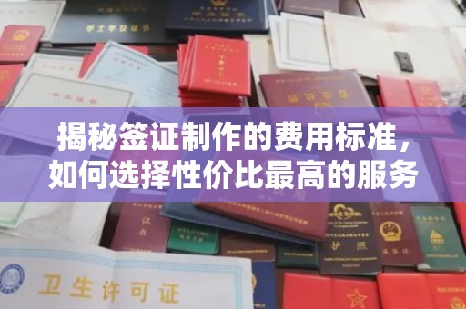 海宁揭秘签证制作的费用标准，如何选择性价比最高的服务？