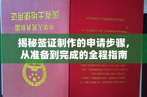 海宁揭秘签证制作的申请步骤，从准备到完成的全程指南