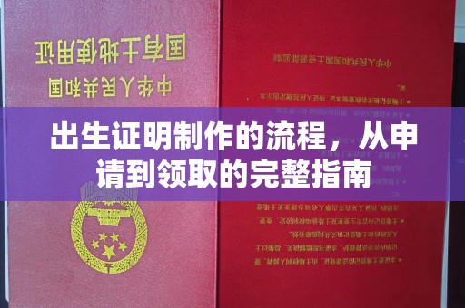 海宁出生证明制作的流程，从申请到领取的完整指南
