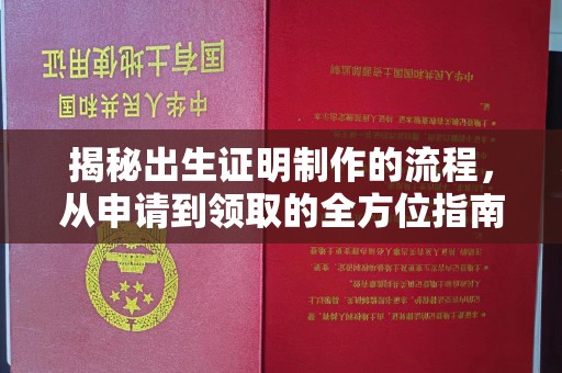 海宁揭秘出生证明制作的流程，从申请到领取的全方位指南
