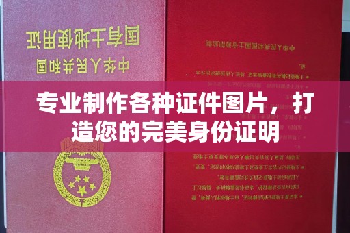 海宁专业制作各种证件图片，打造您的完美身份证明
