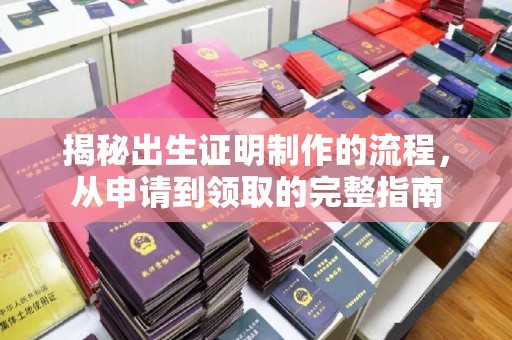 海宁揭秘出生证明制作的流程，从申请到领取的完整指南